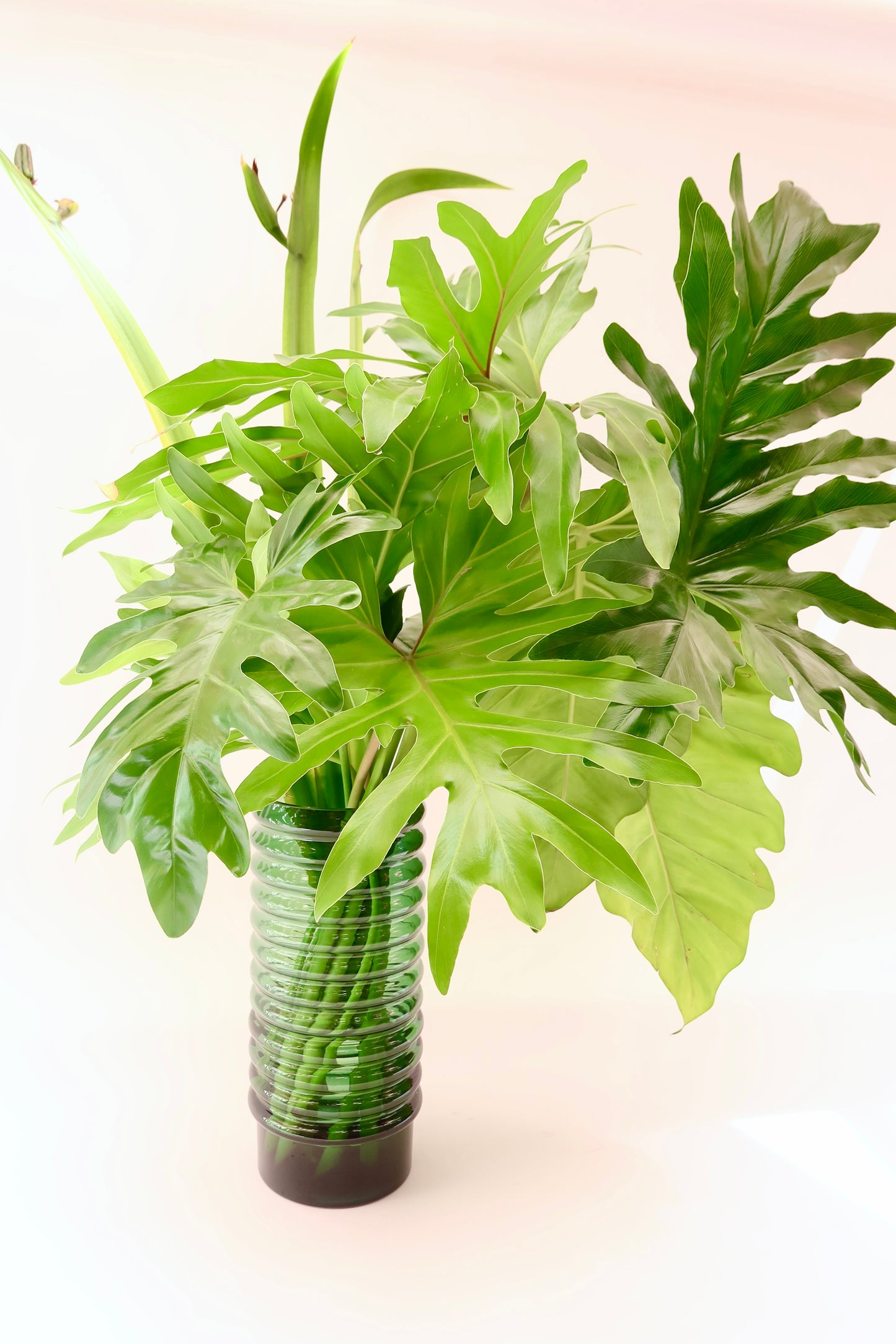 Vaso em Vidro Translúcido Design Escalonado