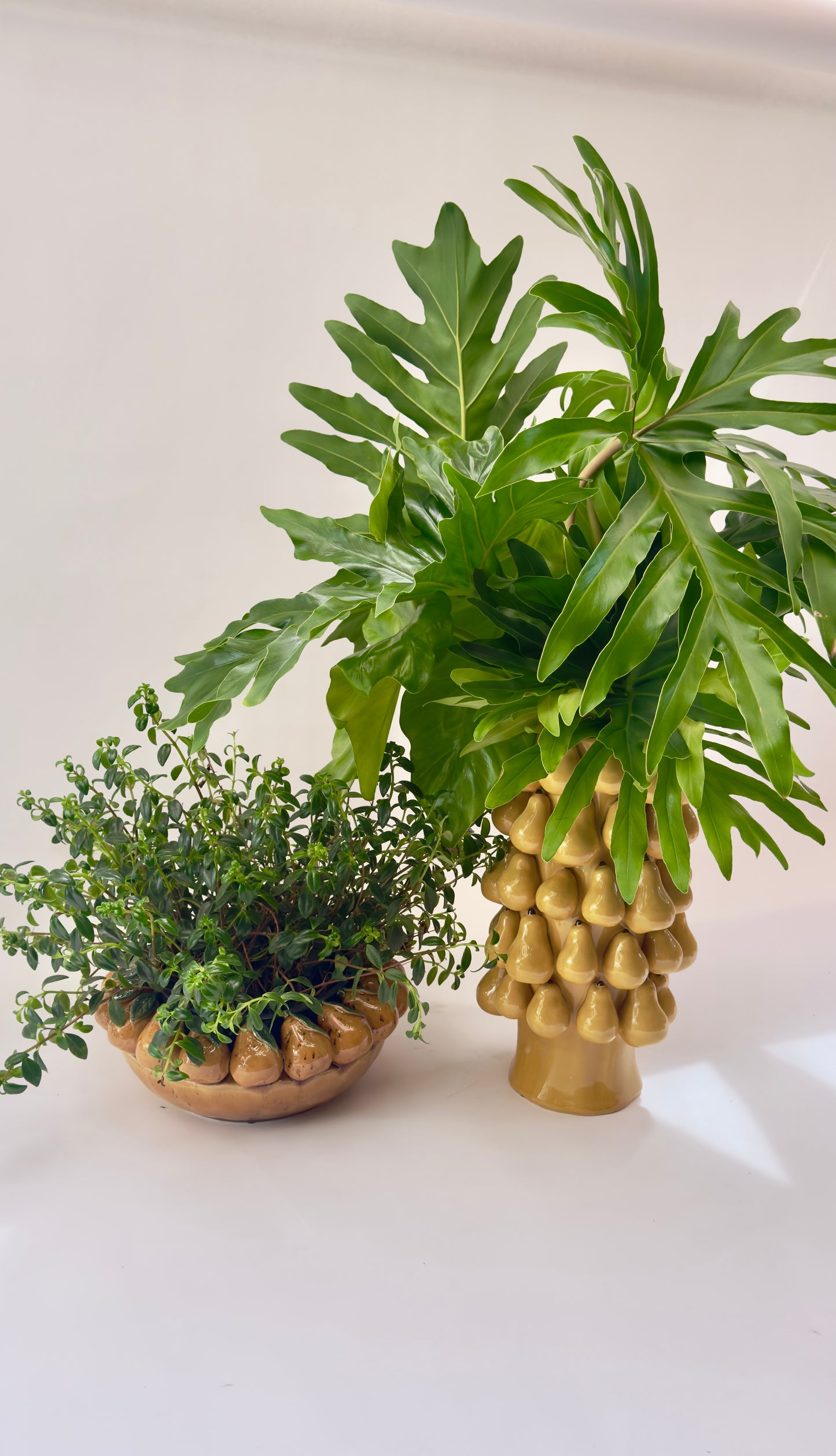 Vaso cerâmica pera artístico